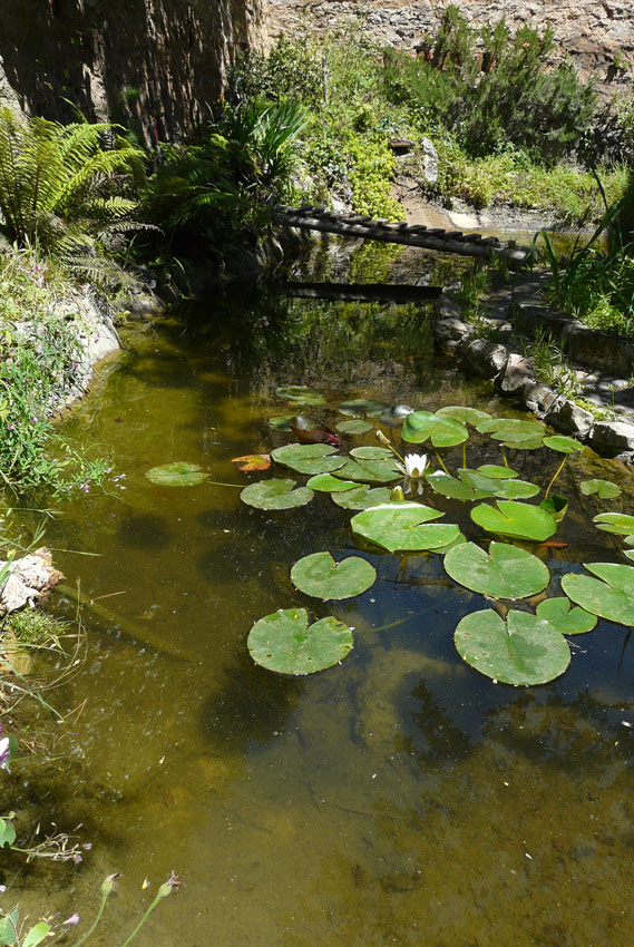 Il Laghetto del Centro di Entomologia - Piombino (LI)